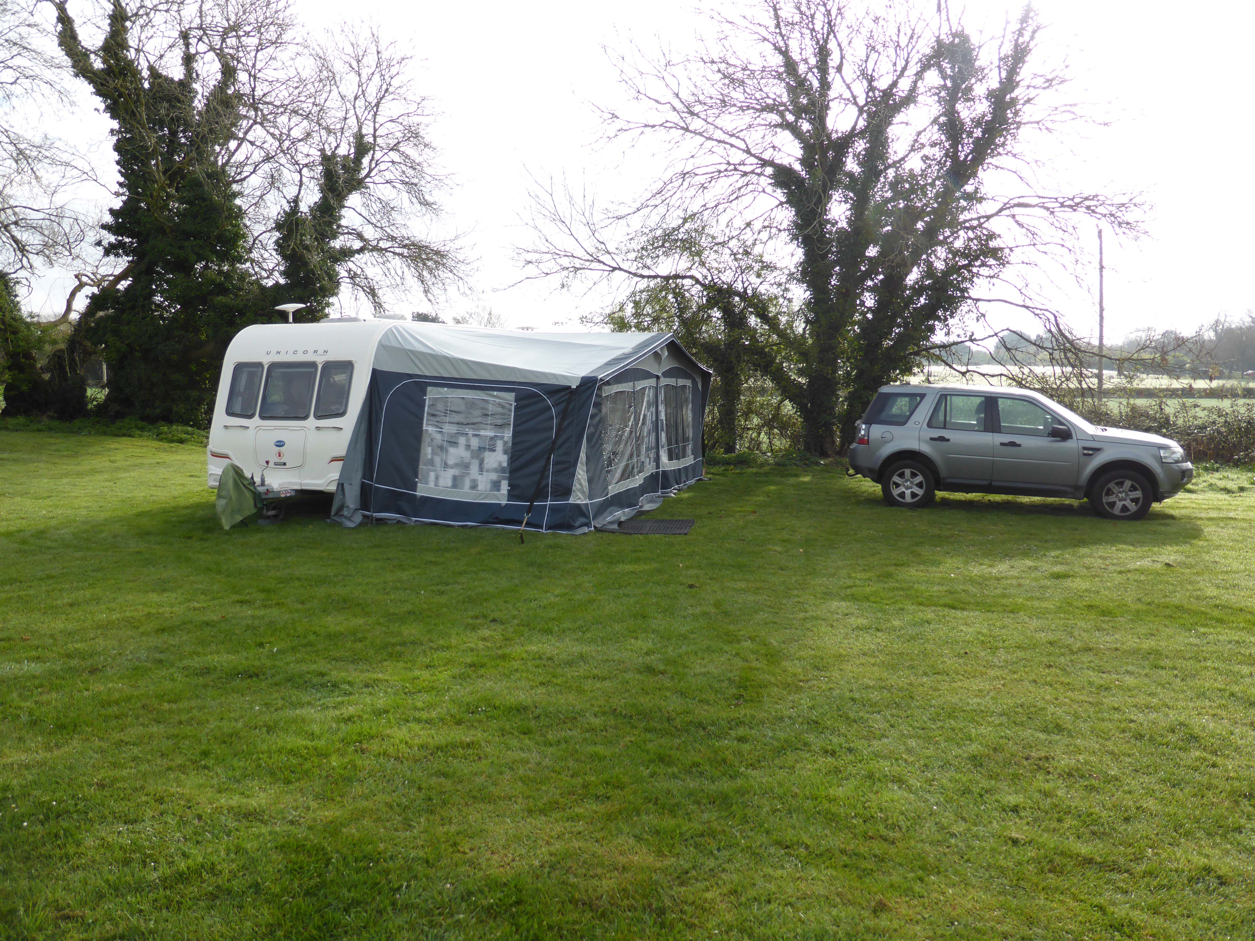 Awning For Sale » Two Dogs and an Awning