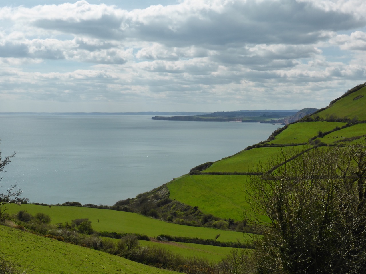 Sidmouth to Weston Mouth » Two Dogs and an Awning