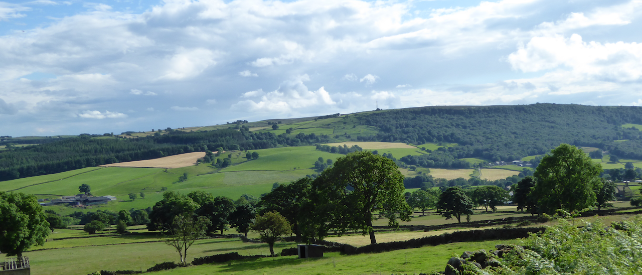 A Circular Walk From Pateley Bridge