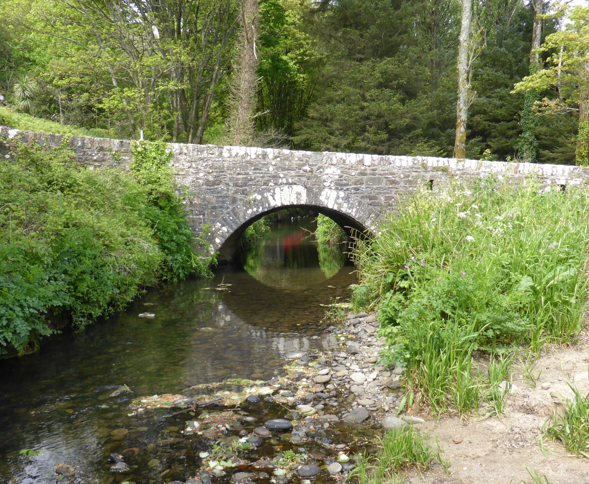 Wisemans Bridge, Amroth and Colby Gardens » Two Dogs and an Awning