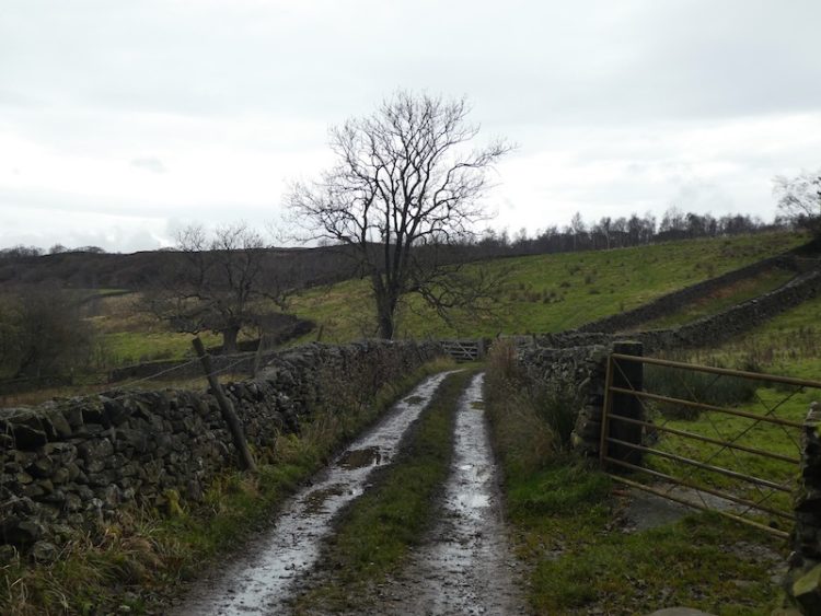 Lodge Farm